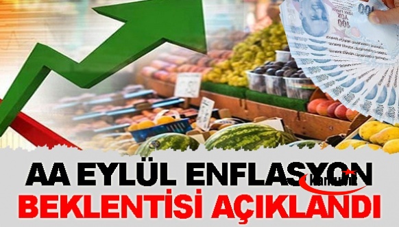 Anadolu Ajansı Eylül Enflasyon Beklentisini Açıkladı!