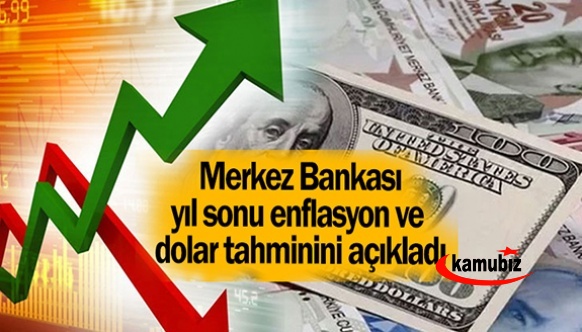 Merkez Bankası'nın yıl sonu enflasyon ve dolar beklentisi yükseldi