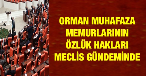 Orman muhafaza memurlarının özlük hakları için MHP'den açıklama