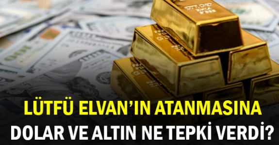 Lütfi Elvan'ın Hazine ve Maliye Bakanlığı'na atanmasına Dolar ve Altın ne tepki verdi!