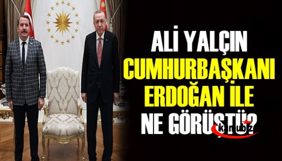 Ali Yalçın, Cumhurbaşkanı Recep Tayyip Erdoğan ile ne görüştü?