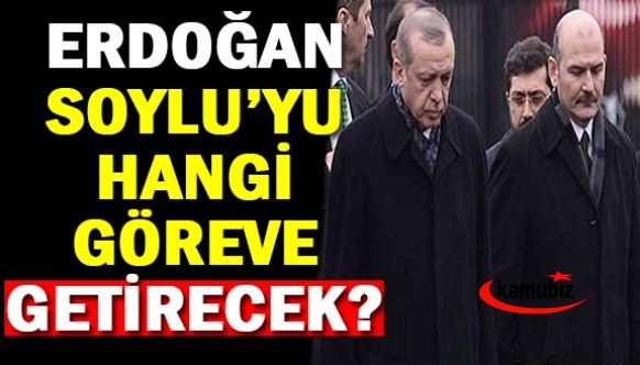 Erdoğan, Soylu'yu hangi göreve getirecek? Ünlü anketçi açıkladı...