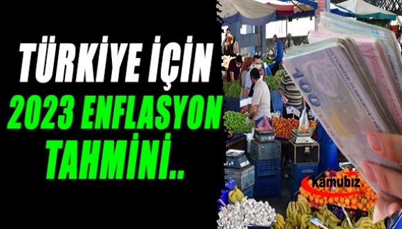 Türkiye'nin 2023 enflasyon tahmini açıklandı